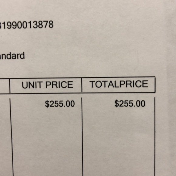 BADGLEY MISCHKA Rouge embellished pumps - Picture 7 of 7